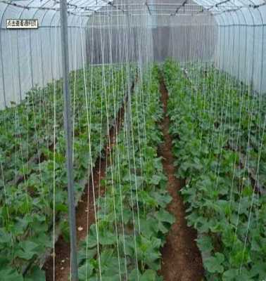 莱芜市莱城区蔚霖节水灌溉产品经营部