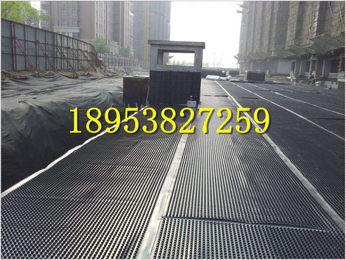 呼和浩特楼顶花园排水板建筑塑料疏水板阳江