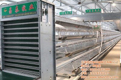 食槽,昌泰机械,临沂鸡用食槽