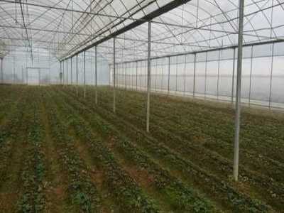 莱芜市莱城区蔚霖节水灌溉产品经营部