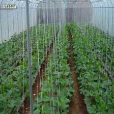 莱芜市莱城区蔚霖节水灌溉产品经营部