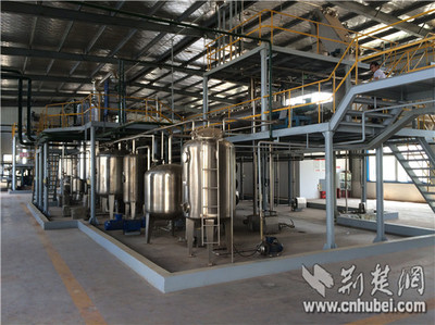 湖北省同心院士专家服务团服务献智助企业创新发展