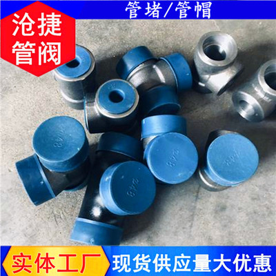 塑料管盖信誉为重-河北沧捷(在线咨询)-西宁塑料管盖