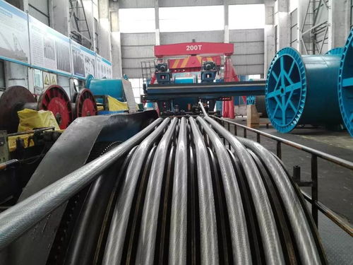 公司顺利完成铜仁奥体中心密封绳生产，同步推进塑料管产销业务